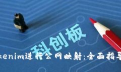 如何使用Tokenim进行公网映射：全面指导与实用技