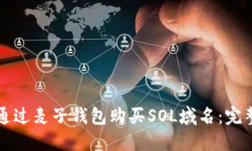 如何通过麦子钱包购买SOL域名：完整指南