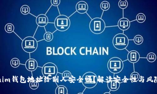 Tokenim钱包地址给别人安全吗？解读安全性与风险分析