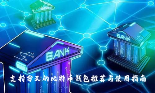 支持分叉的比特币钱包推荐与使用指南