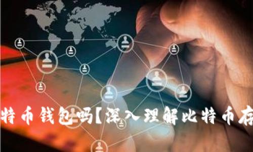 必须要有比特币钱包吗？深入理解比特币存储的必要性