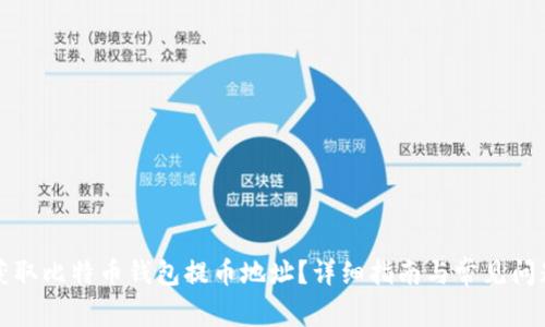 如何获取比特币钱包提币地址？详细指南与常见问题解答