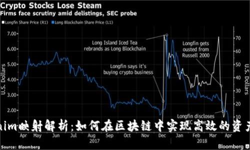 Tokenim映射解析：如何在区块链中实现高效的资产映射