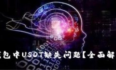 如何解决TP钱包中USDT缺失问题？全面解析及解决