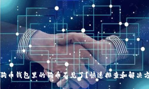 狗狗币钱包里的狗币不见了？快速排查和解决方法