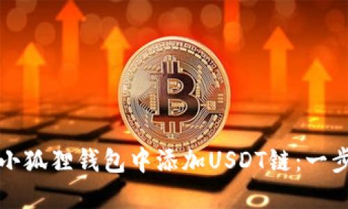 如何在小狐狸钱包中添加USDT链：一步步详解