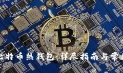 如何获取比特币热钱包：详尽指南与常见问题解