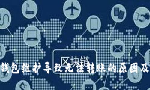 Tokenim钱包维护导致无法转账的原因及解决方案