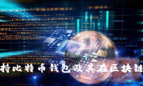 特斯拉为何支持比特币钱包及其在区块链支付中的影响