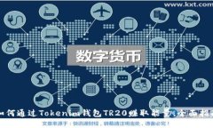 如何通过Tokenim钱包TR20赚取能量：全面指南