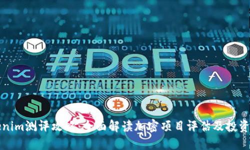 Tokenim测评攻略：全面解读加密项目评估及投资决策