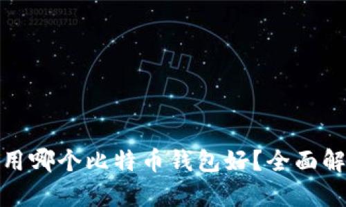 : 中国人用哪个比特币钱包好？全面解析与推荐