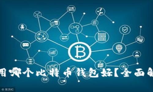 : 中国人用哪个比特币钱包好？全面解析与推荐