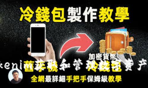 如何在Tokenim获取和管理数字资产：全面指南