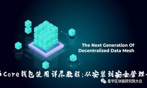 比特币Core钱包使用详尽教程：从安装到安全管理全覆盖