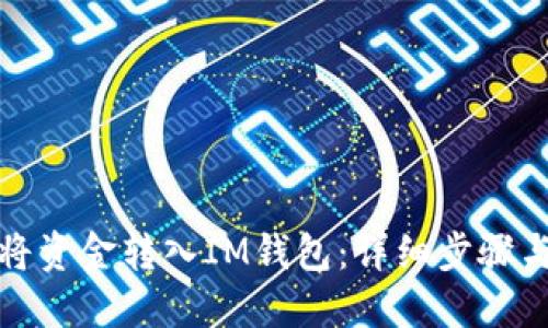 如何将资金转入IM钱包：详细步骤与技巧