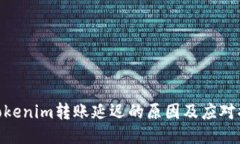 : Tokenim转账延迟的原因及应对措施