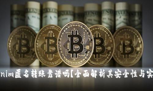Tokenim匿名转账靠谱吗？全面解析其安全性与实用性