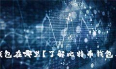 存放比特币的钱包在哪里？了解比特币钱包类型