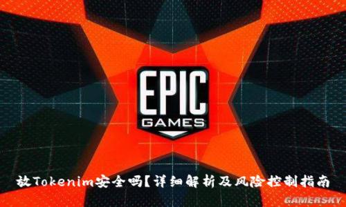 放Tokenim安全吗？详细解析及风险控制指南