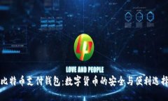 比特币支付钱包：数字货币的安全与便利选择