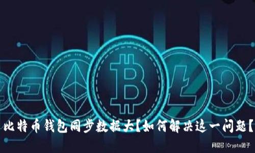 比特币钱包同步数据大？如何解决这一问题？