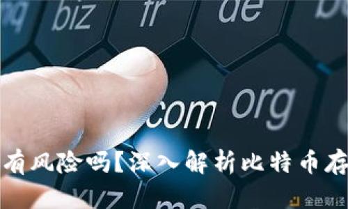 存比特币钱包有风险吗？深入解析比特币存储及其安全性