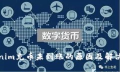Tokenim充币未到账的原因及解决方法