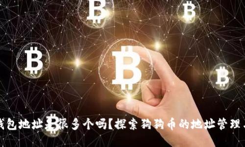 狗狗币钱包地址是很多个吗？探索狗狗币的地址管理与安全性