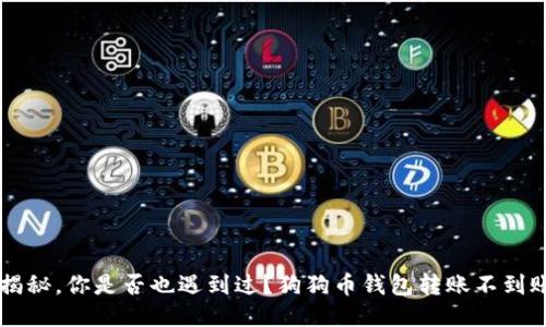 狗狗币钱包转账不到账的原因大揭秘，你是否也遇到过？狗狗币钱包转账不到账的原因大揭秘，你是否也遇到过？