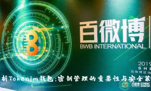 解析Tokenim钱包：密钥管理的重要性与安全策略