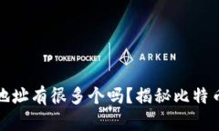 比特币钱包地址有很多个吗？揭秘比特币地址的