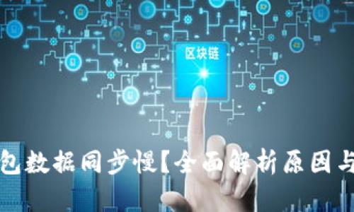 比特币钱包数据同步慢？全面解析原因与解决方案