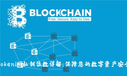Tokenim私钥位数详解：保障您的数字资产安全