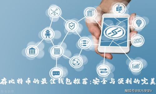 长期存比特币的最佳钱包推荐：安全与便利的完美结合
