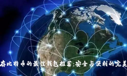 长期存比特币的最佳钱包推荐：安全与便利的完美结合