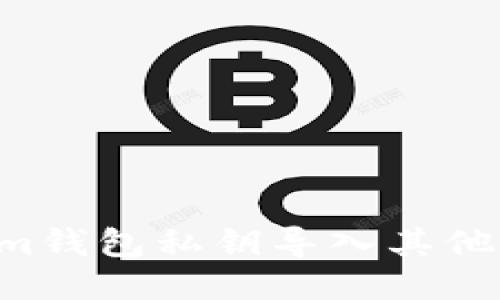 如何将Tokenim钱包私钥导入其他钱包：详细指南
