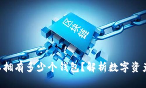 一个Token可以拥有多少个钱包？解析数字资产管理的可能性