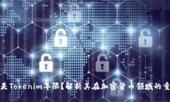 什么是Tokenim年限？解析其在加密货币领域的重要