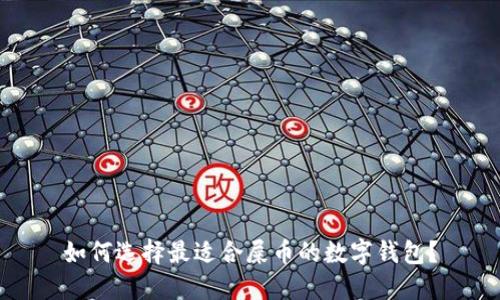 如何选择最适合屎币的数字钱包？