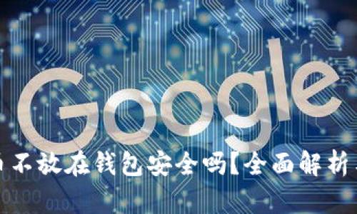 瑞波币不放在钱包安全吗？全面解析与建议