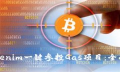 如何通过Tokenim一键参投Gas项目：全面解读与指南
