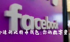 如何选择合适的比特币钱包：你的数字资产保护