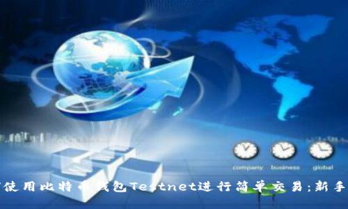 如何使用比特币钱包Testnet进行简单交易：新手指南