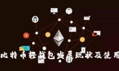 国内比特币轻钱包发展现状及使用指南