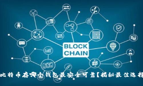 比特币存哪个钱包最安全可靠？揭秘最佳选择