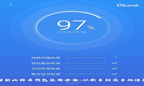 全面解析比特币钱包使用方法：从新手到高手的进阶指南