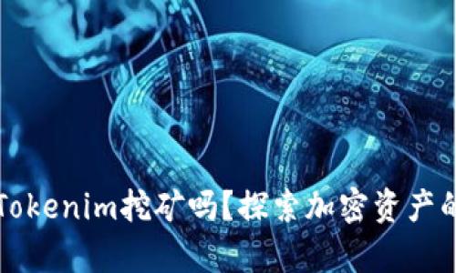 GT币能存Tokenim挖矿吗？探索加密资产的投资机会