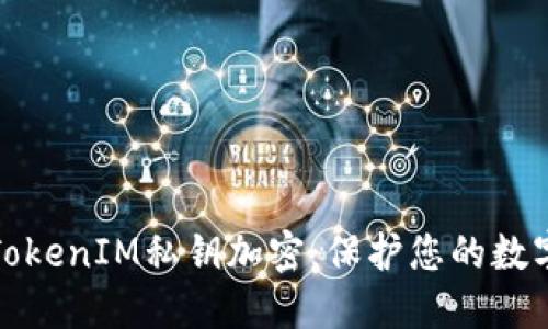 深入了解TokenIM私钥加密：保护您的数字资产安全