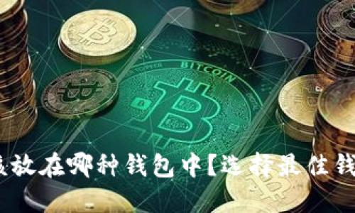 USDT应该放在哪种钱包中？选择最佳钱包的指南